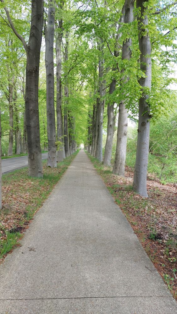 tolle Radwege