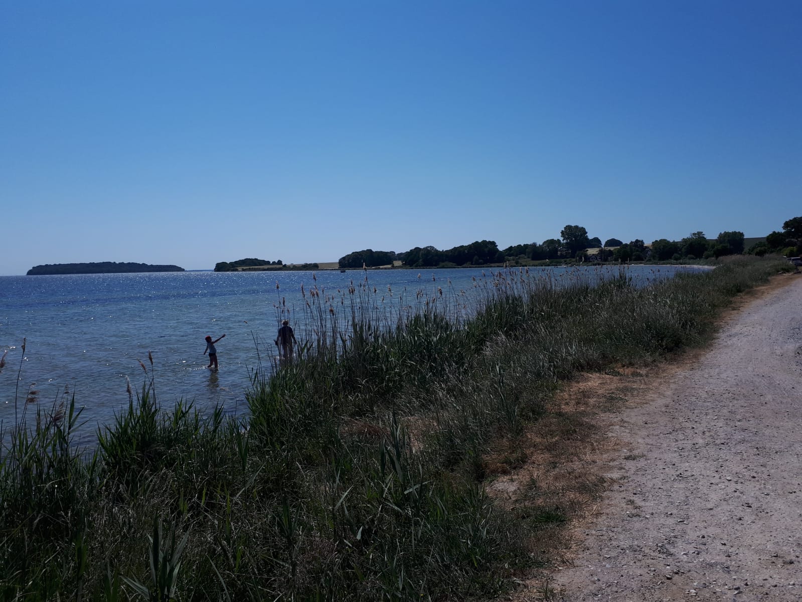 Boddenblick