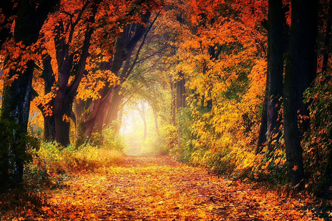 Mabon Herbst - Tagundnachtgleiche