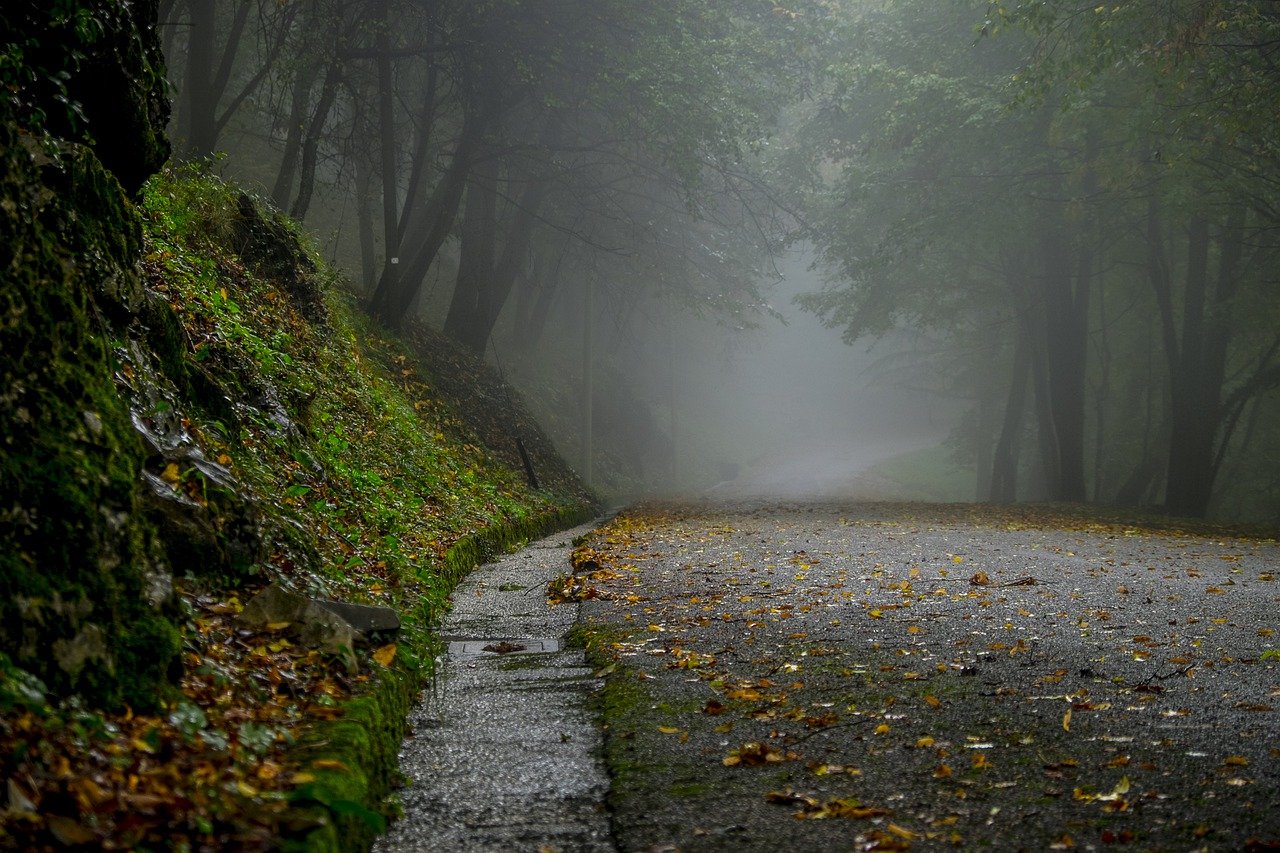 Die Zeit um Samhain