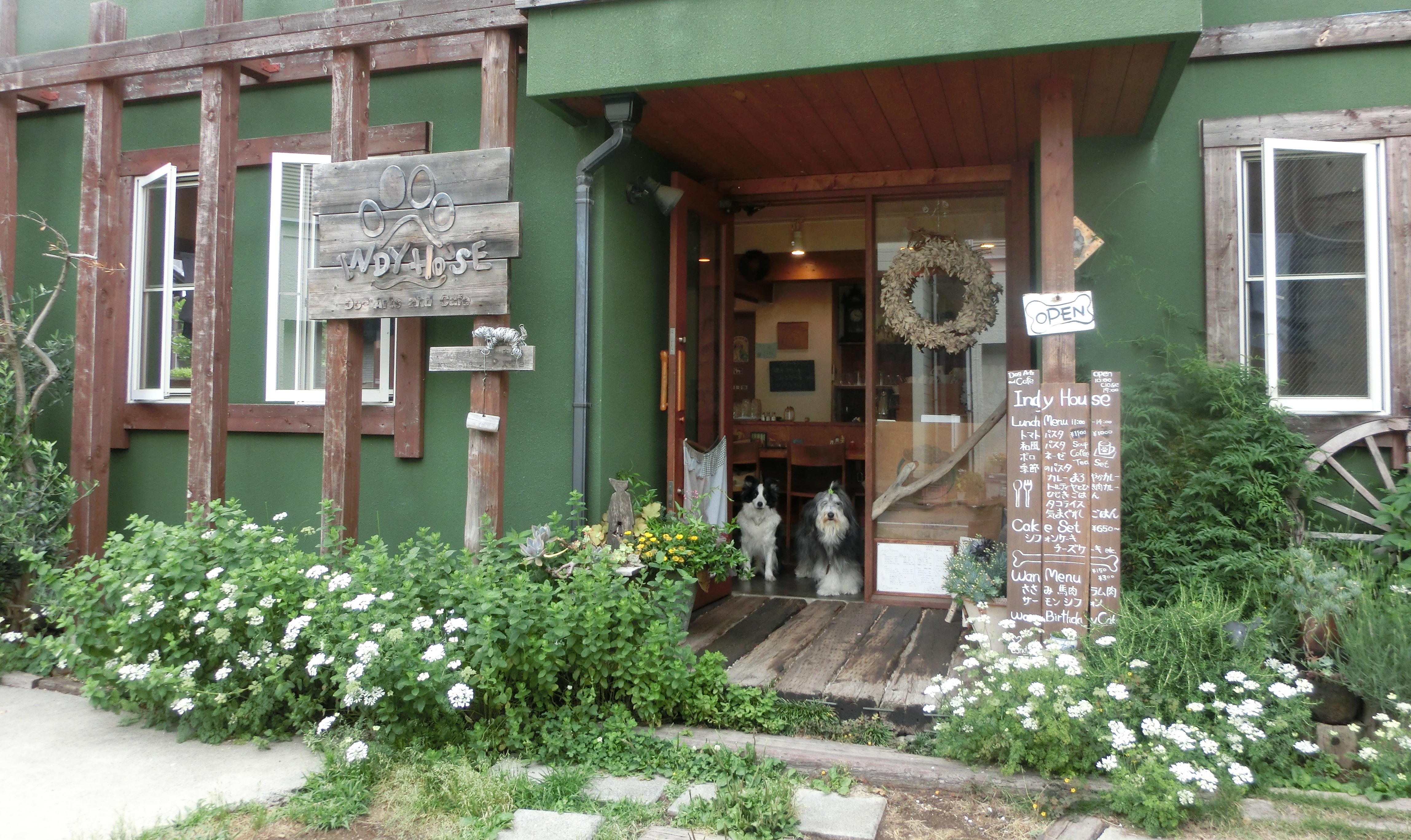 Dog Arts And Cafe INDY HOUSE