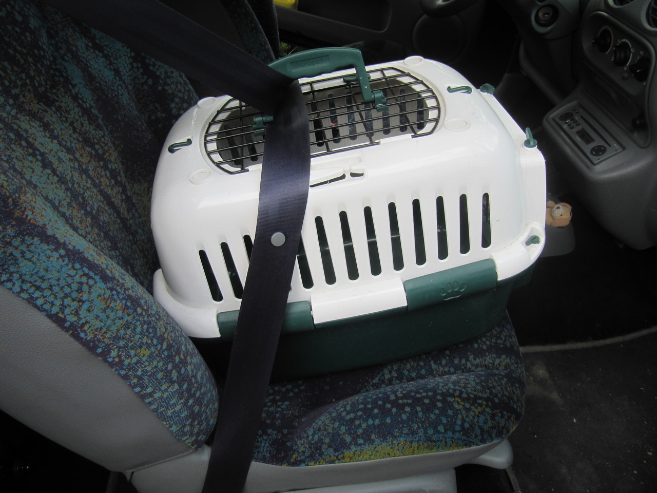 Mille astuces pour une vie de chat Le Chat