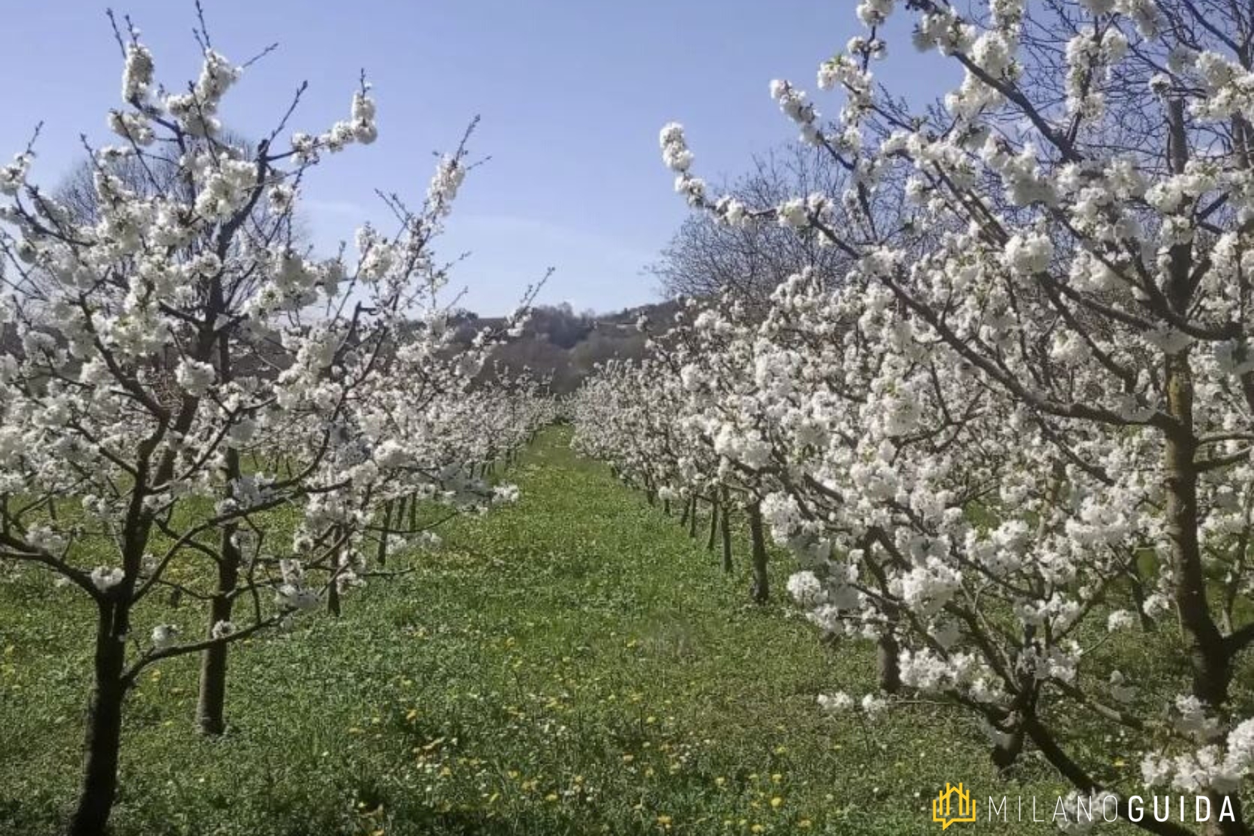Visita guidata Monastero Astino Orto Botanico