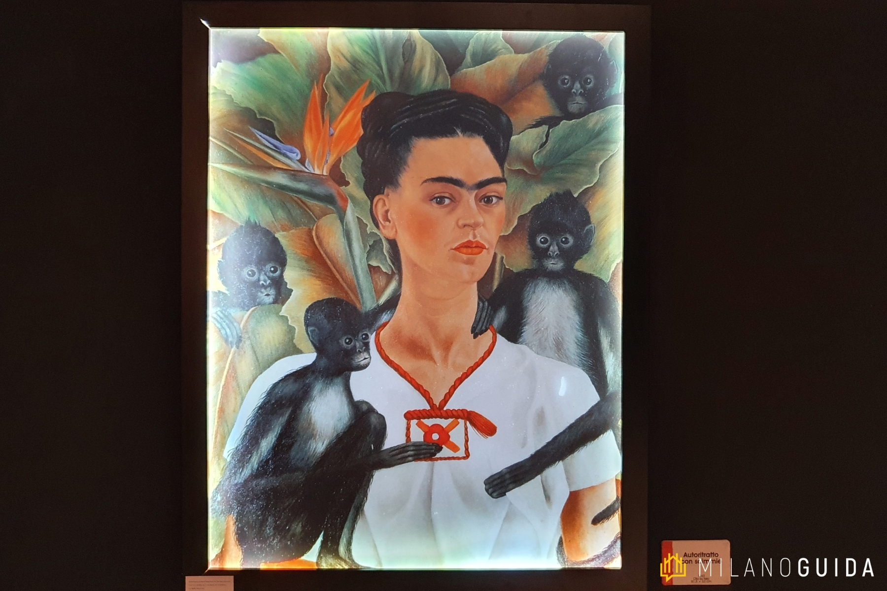 Mostra Frida Kahlo Milano