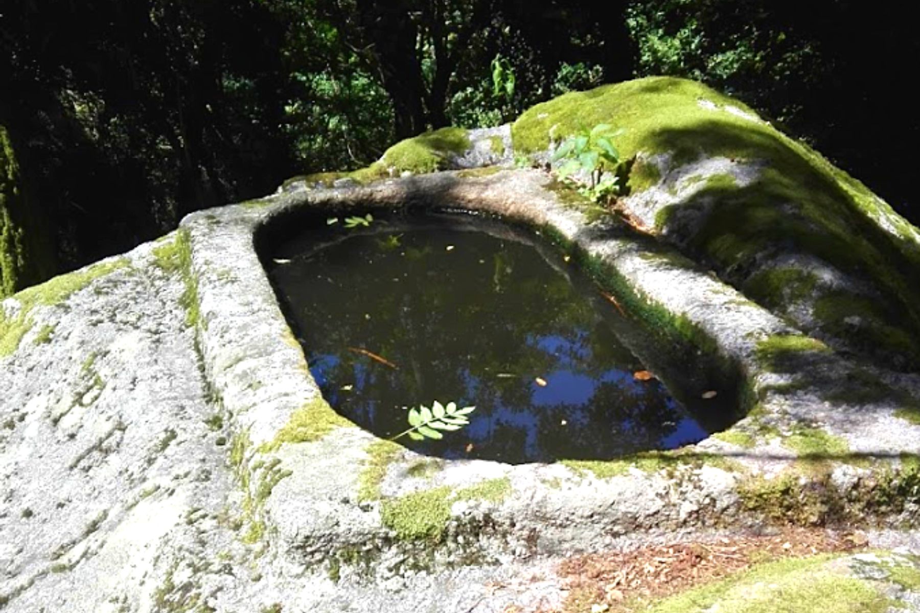 Visita guidata Montepiatto Torno