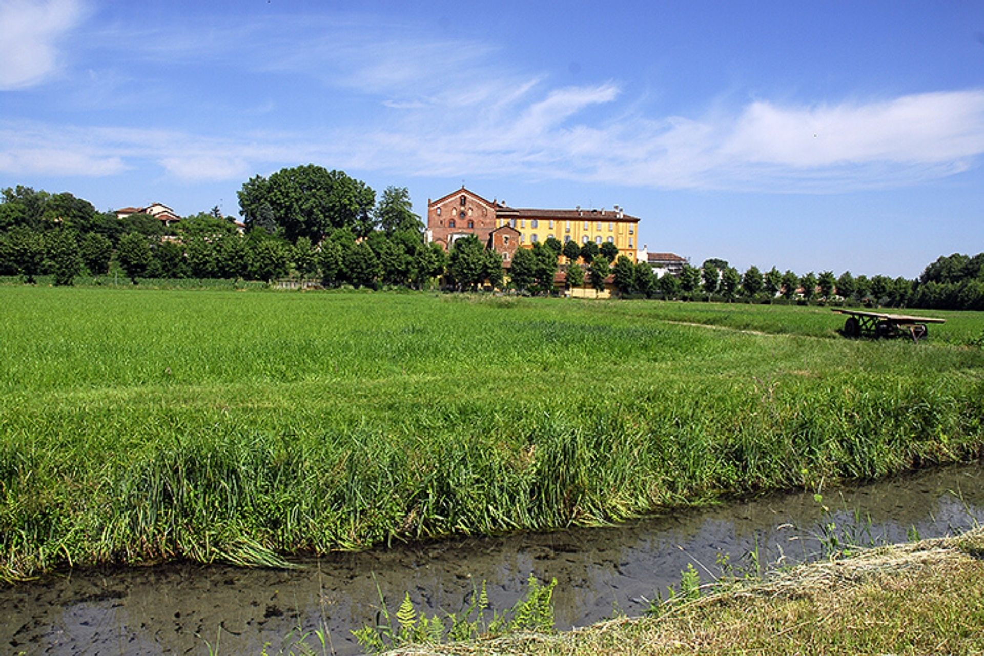 Marcite di Morimondo