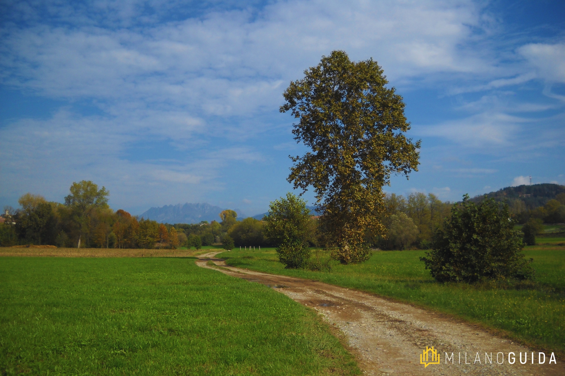 Campagne brianzole