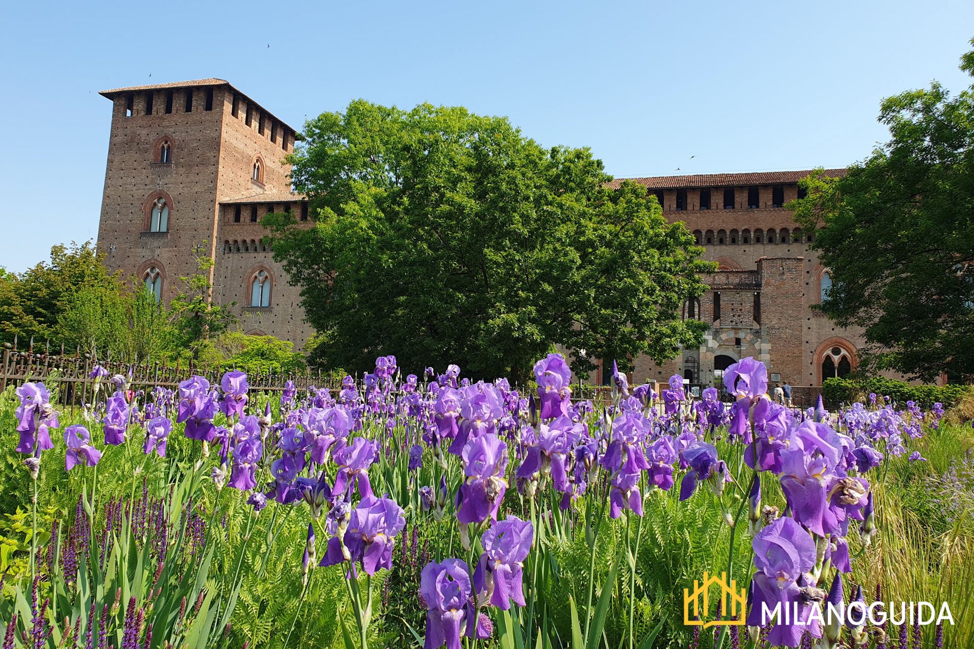 Visita guidata Castello Visconteo Pavia
