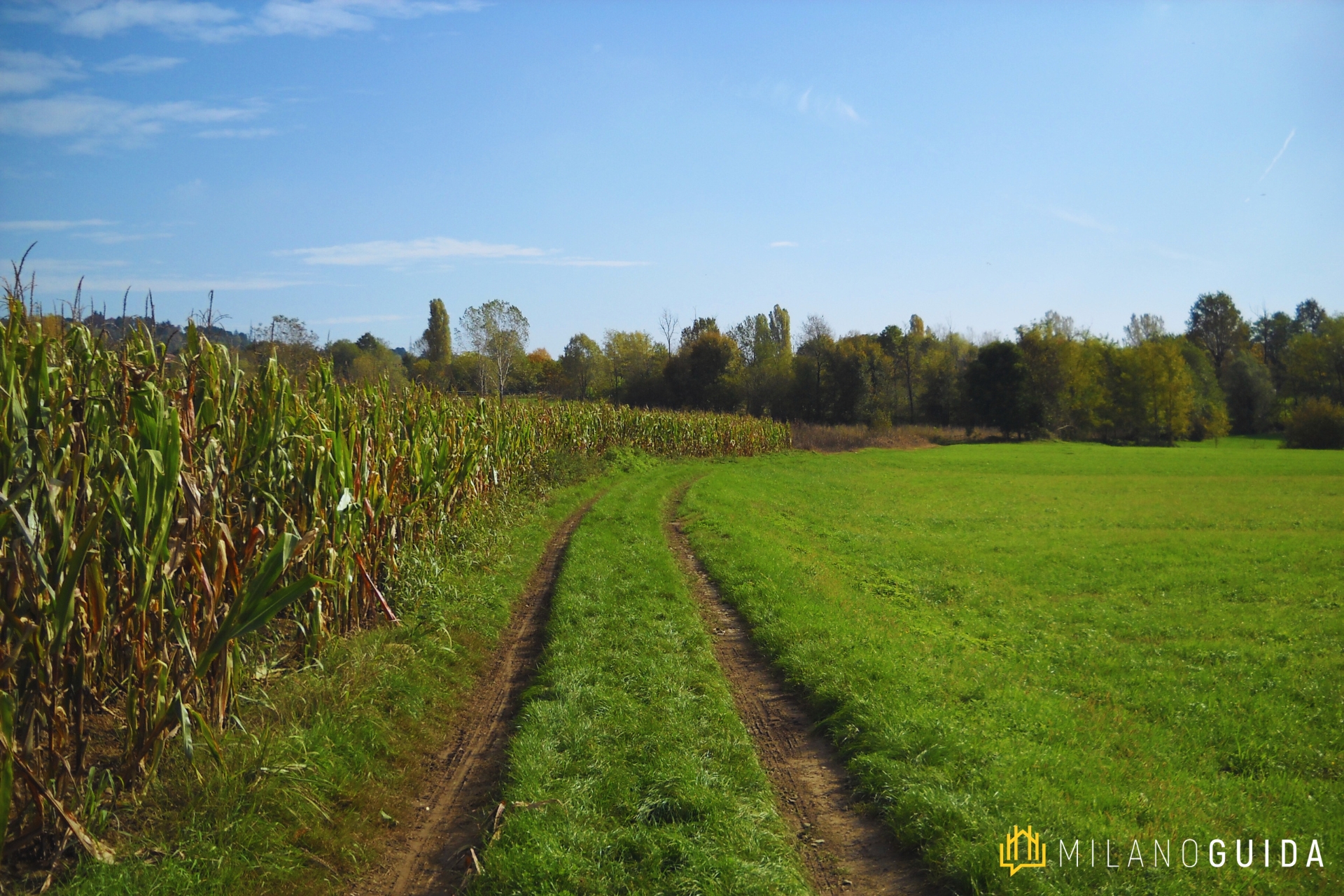 Campagne brianzole