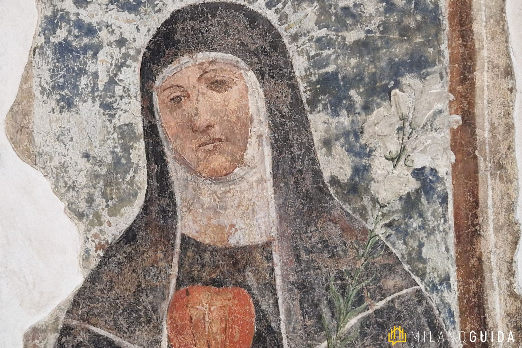 Visita guidata Santa Maria Incoronata Milano