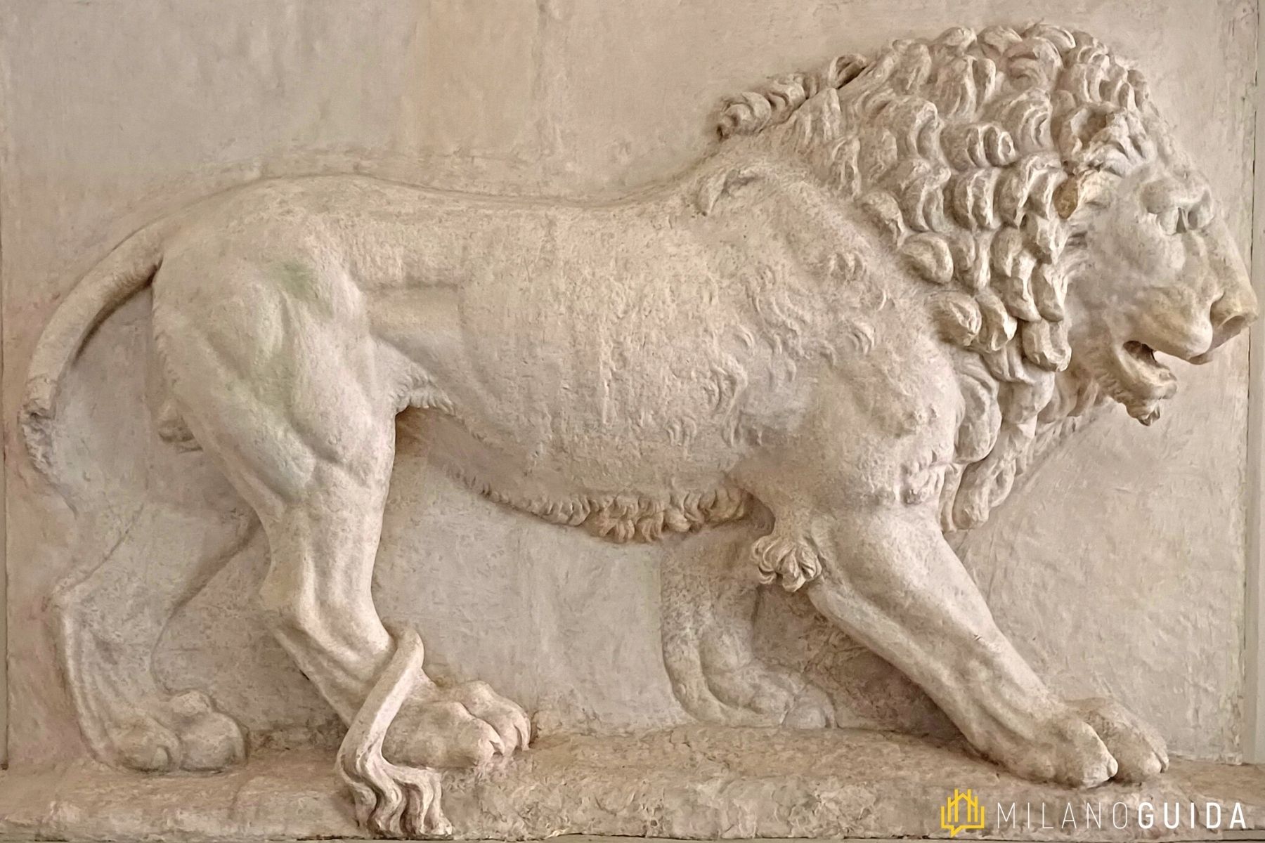 Visita guidata Accademia Brera