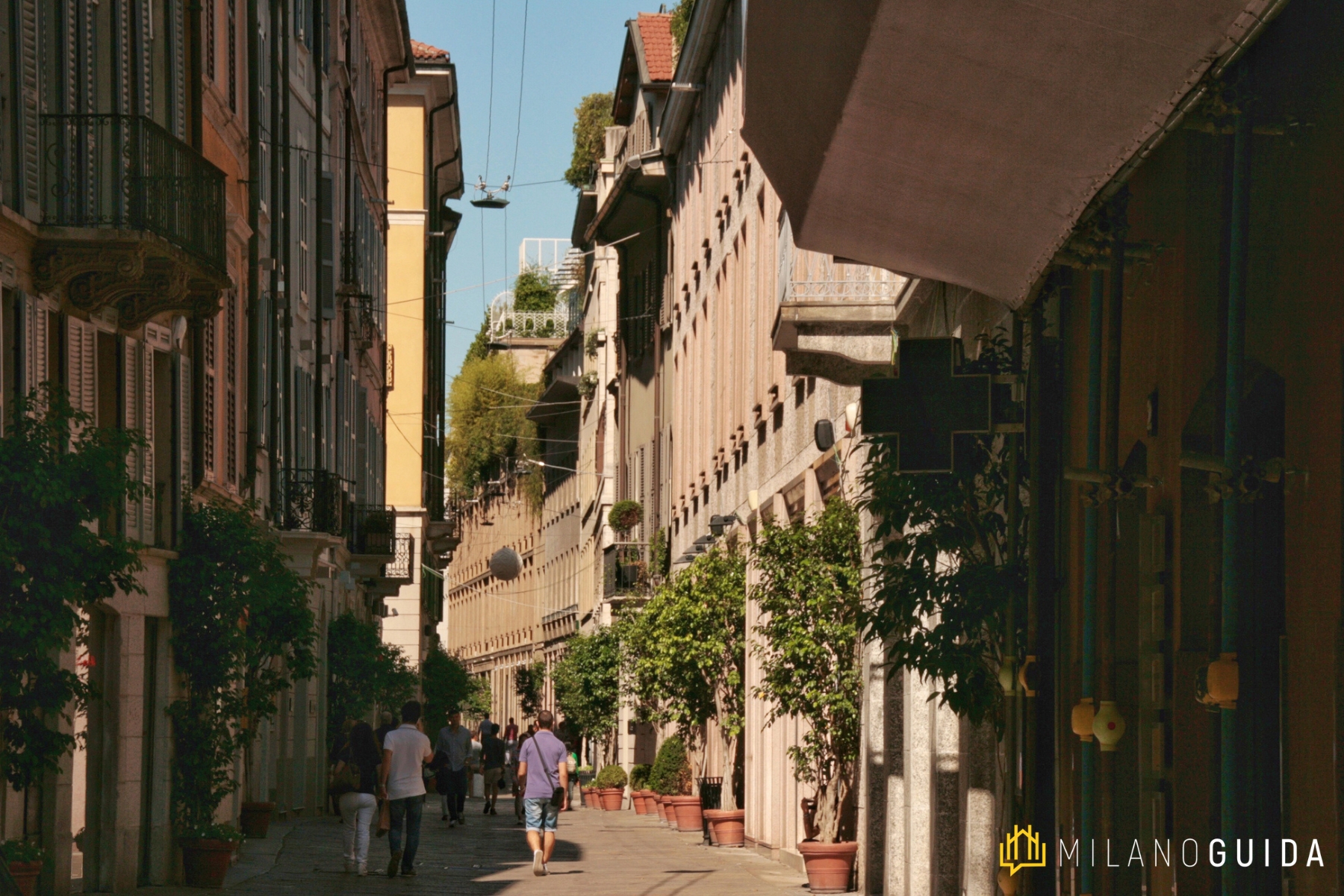 Pinacoteca di Brera Private Tour