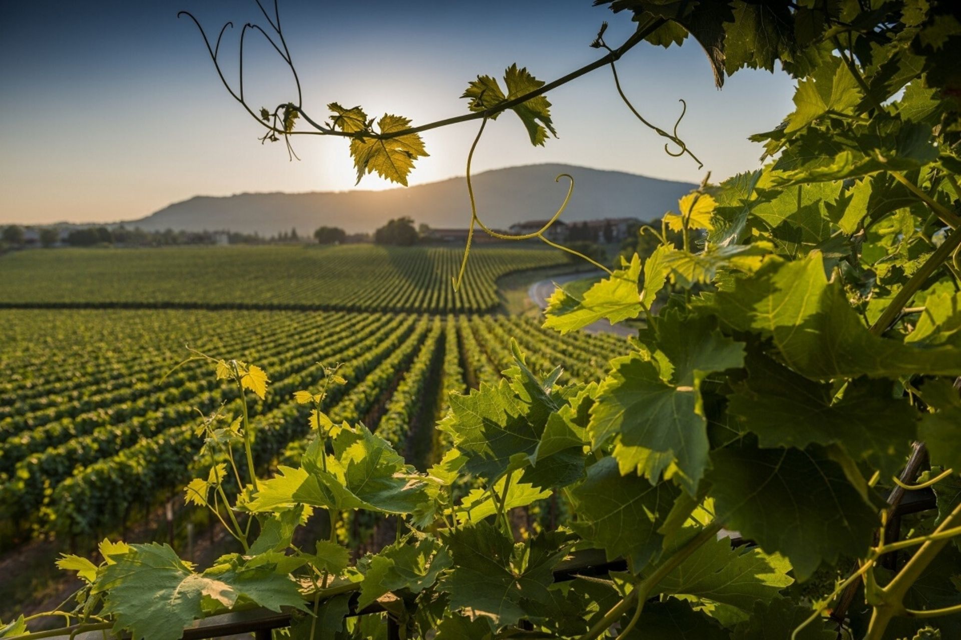 Visita guidata Lago Iseo Franciacorta