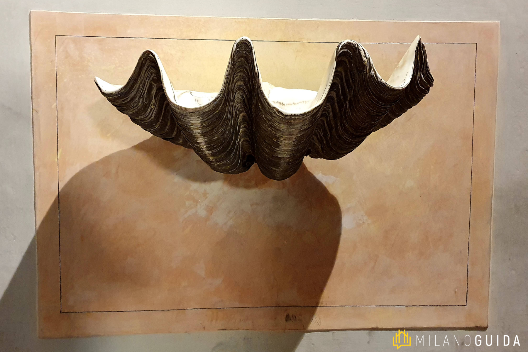 Visita guidata San Carlo Corso Milano