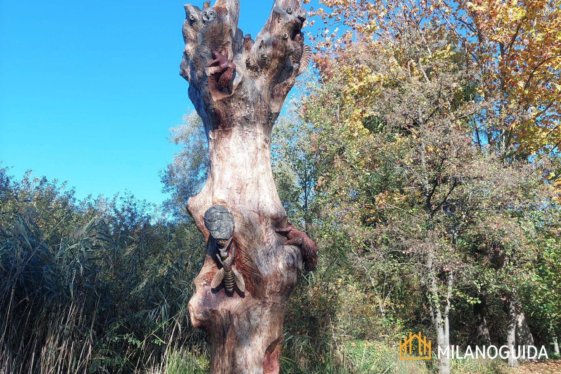 visita guidata al Lago di Sartirana