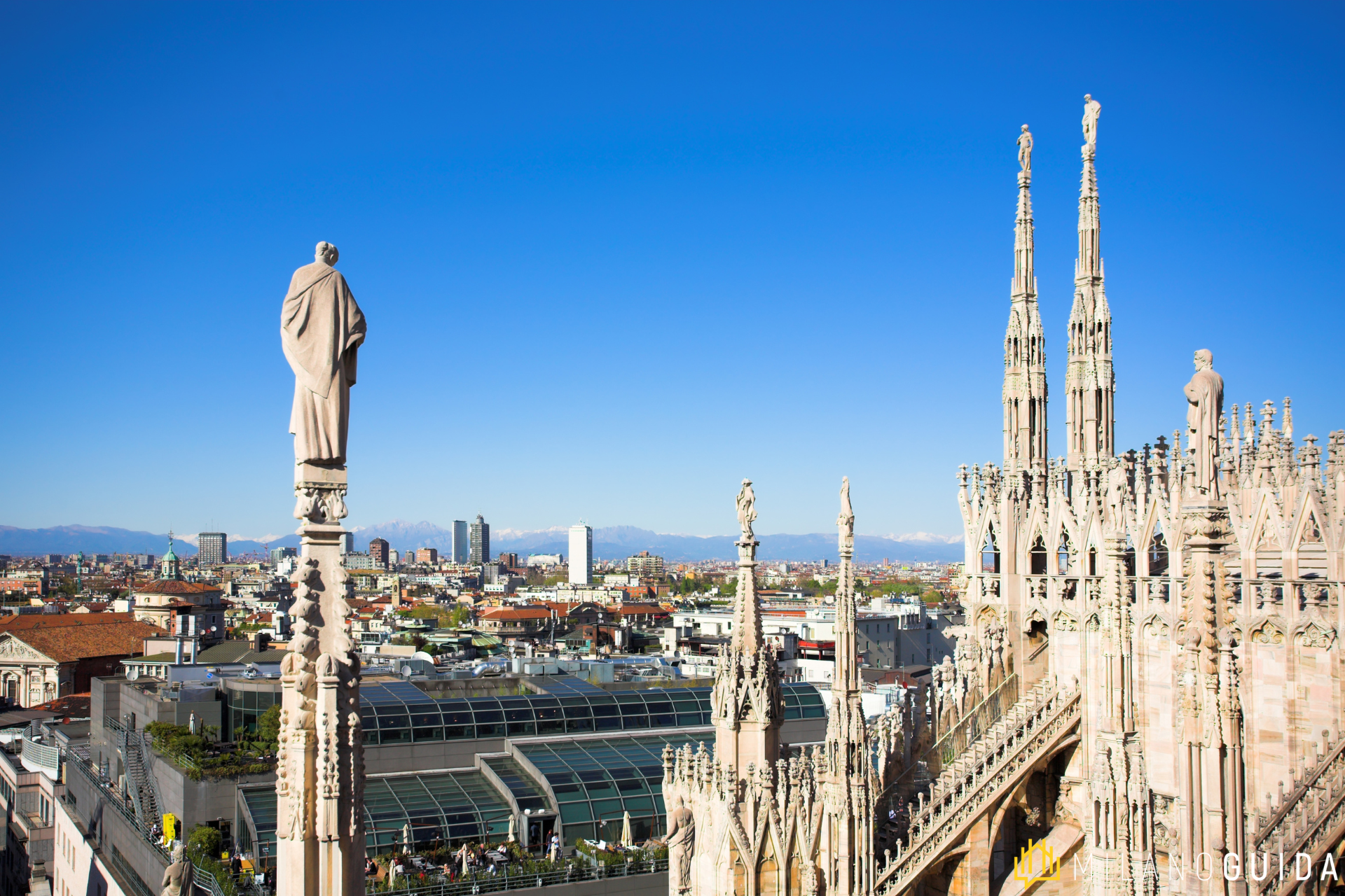 Milan Cathedral and Rooftops Tour