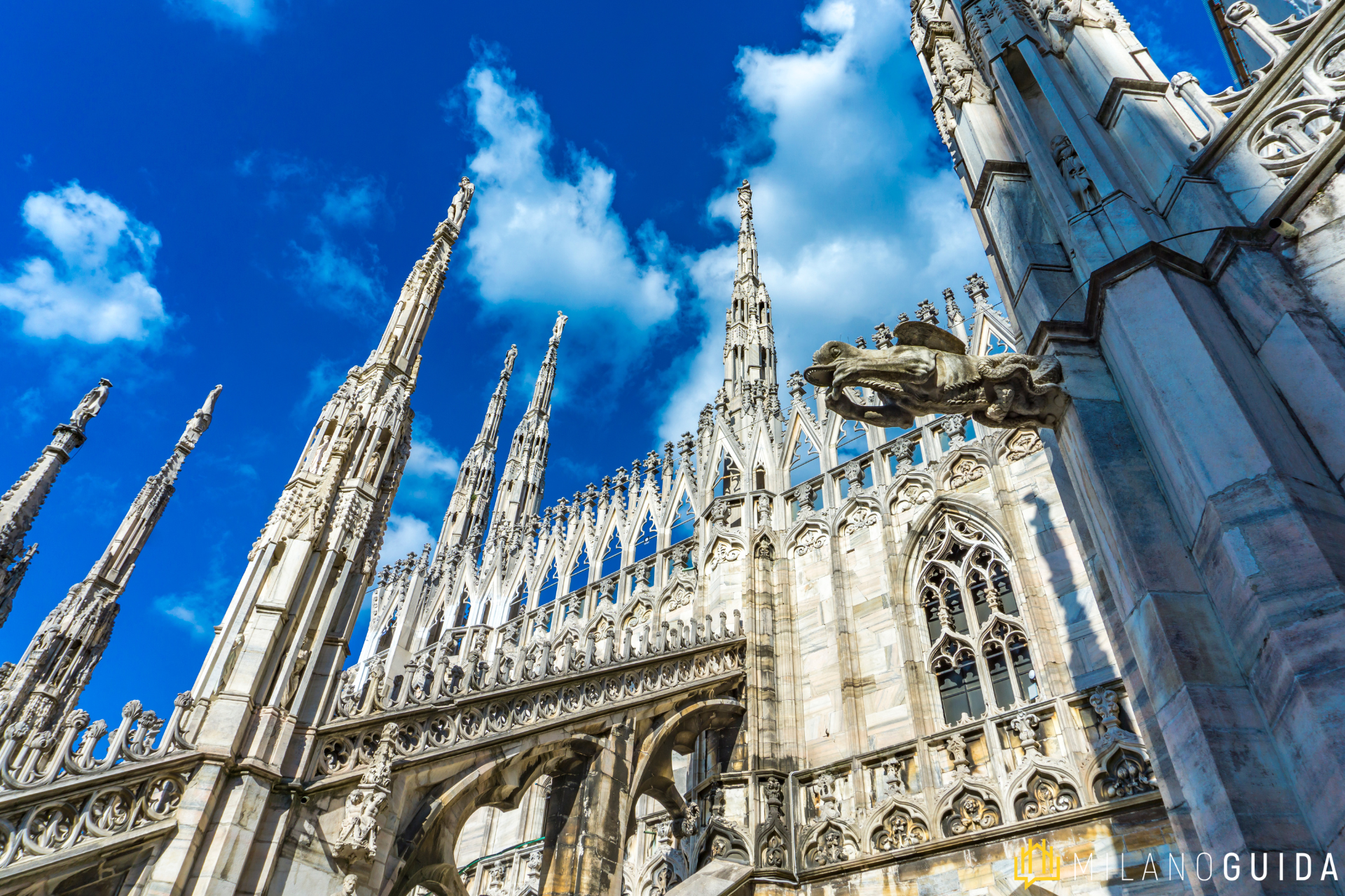Milan Cathedral and Rooftops Tour