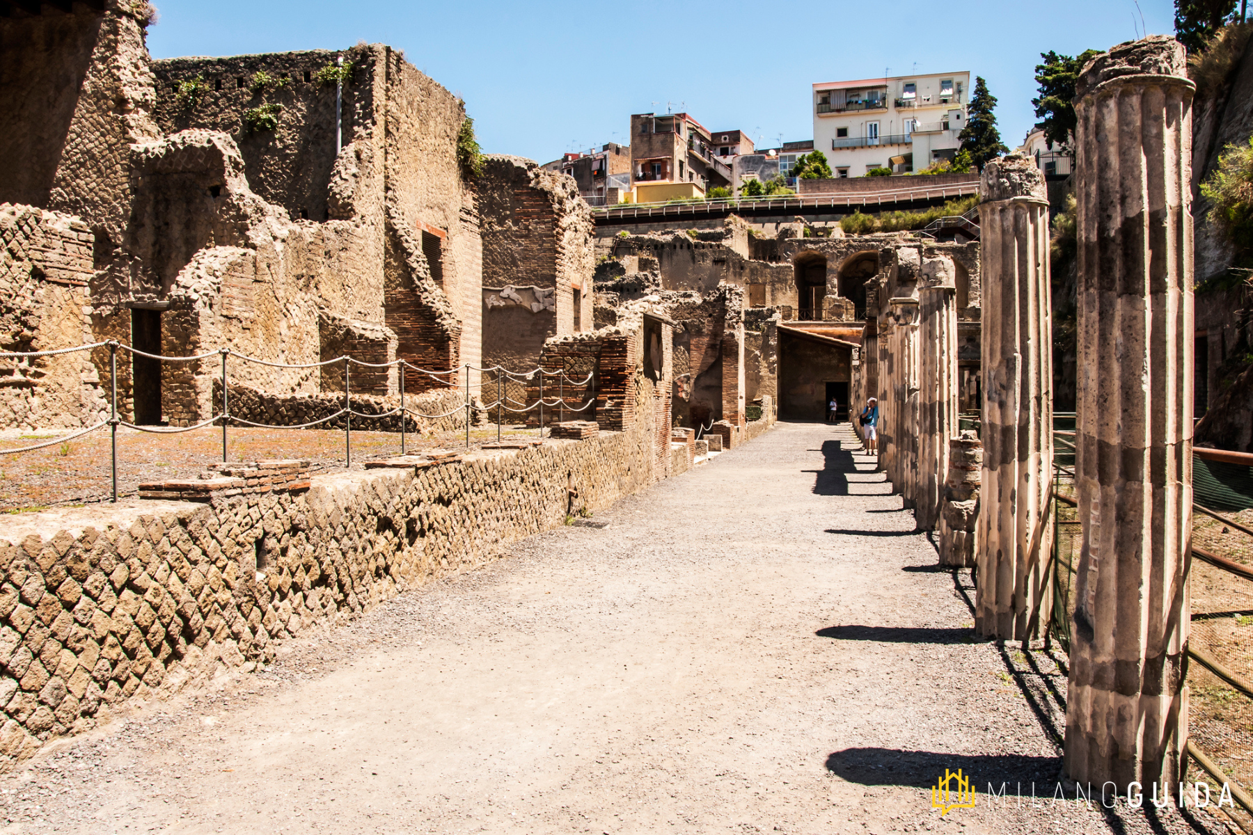 Viaggio Siti Vesuviani