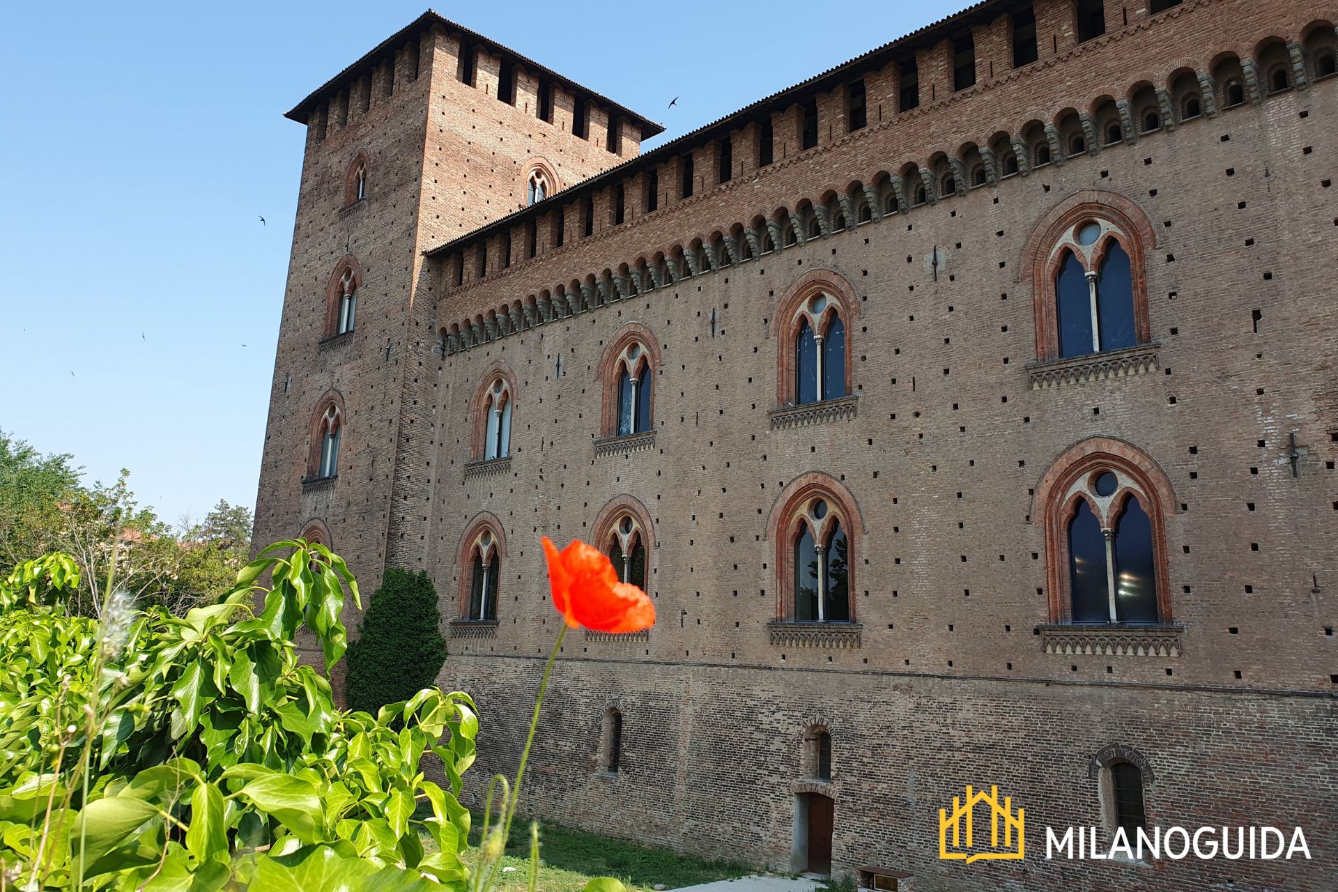 Visita guidata Castello Visconteo Pavia