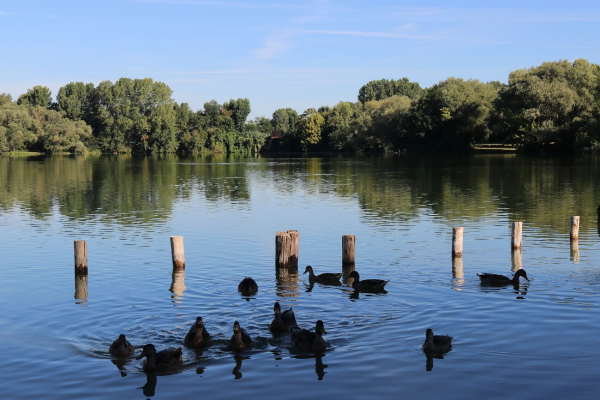 Parco delle Cave Milano