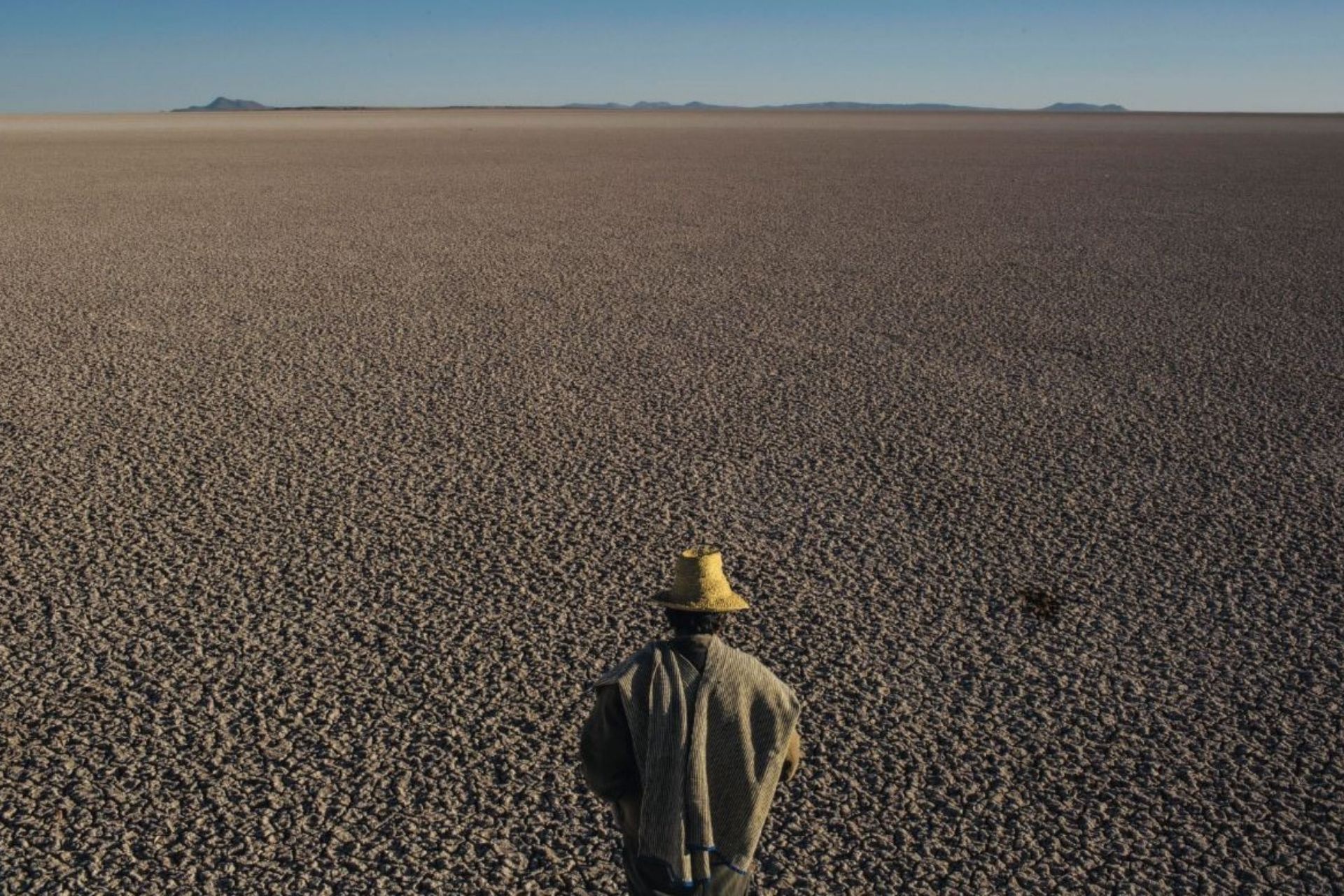 Mostra Capire il cambiamento climatico a Milano - Credit: Brian J. Skerry 