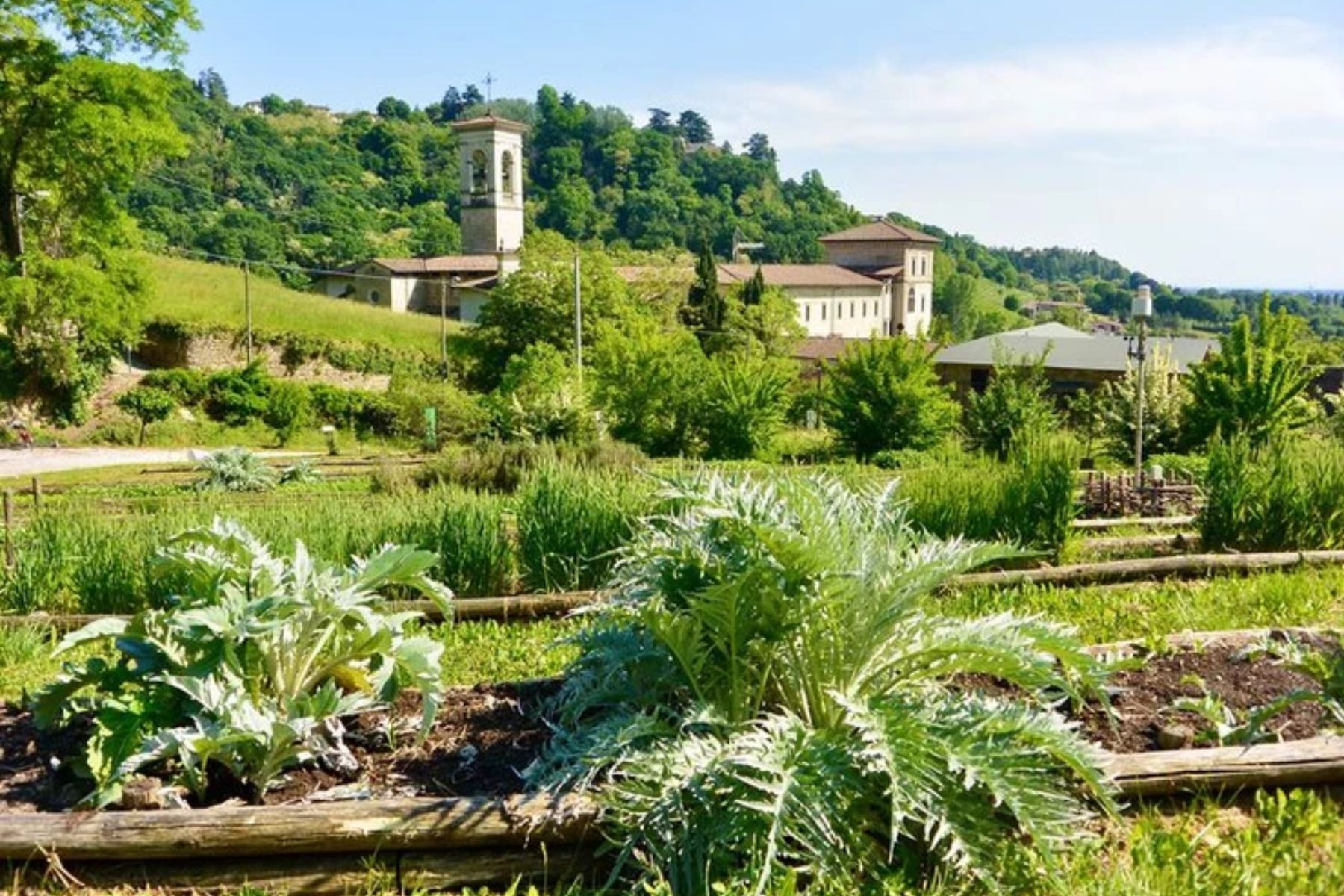 Visita guidata al Monastero di Astino e Orto Botanico