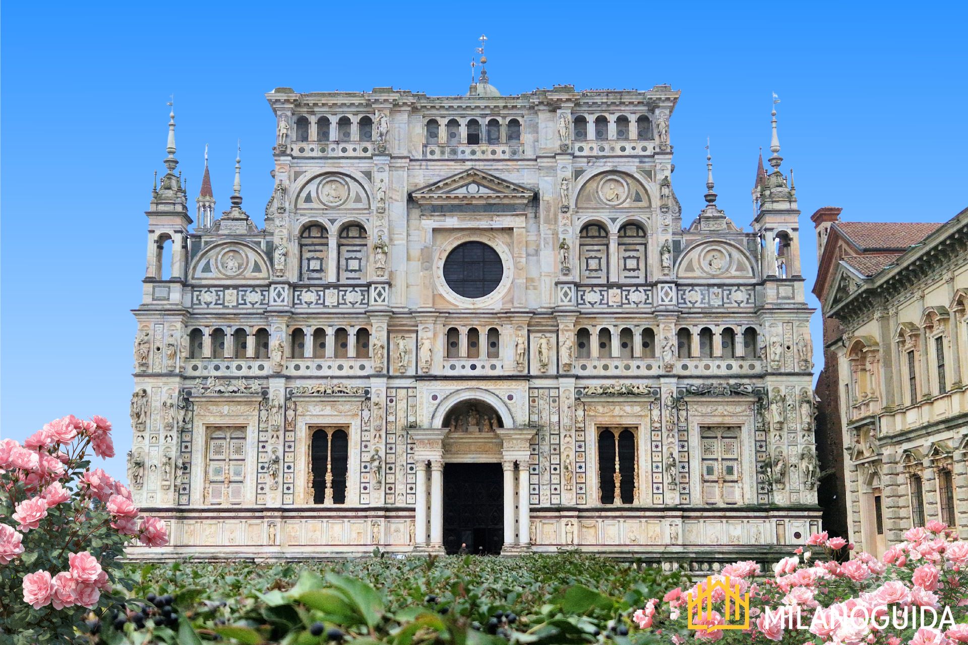 Visita guidata Certosa Pavia