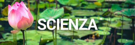 Visite scientifiche
