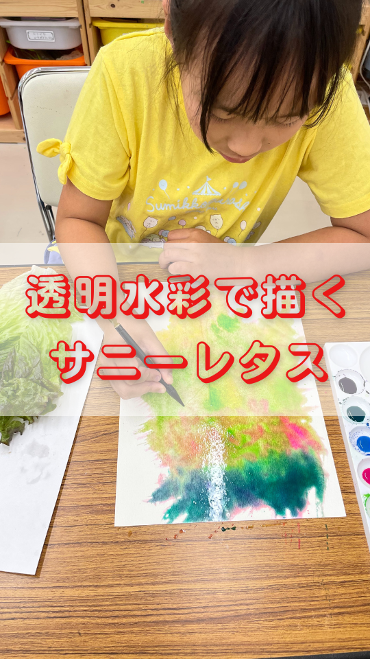 サニーレタスを描く