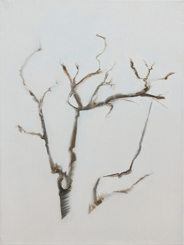 Untitled 40x30cm oil on canvas, 2012