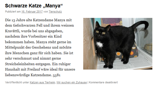 Manya, Katze