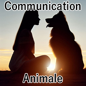 Communication animale, soin énergétique sur animaux, apprendre à communiquer avec mon animal