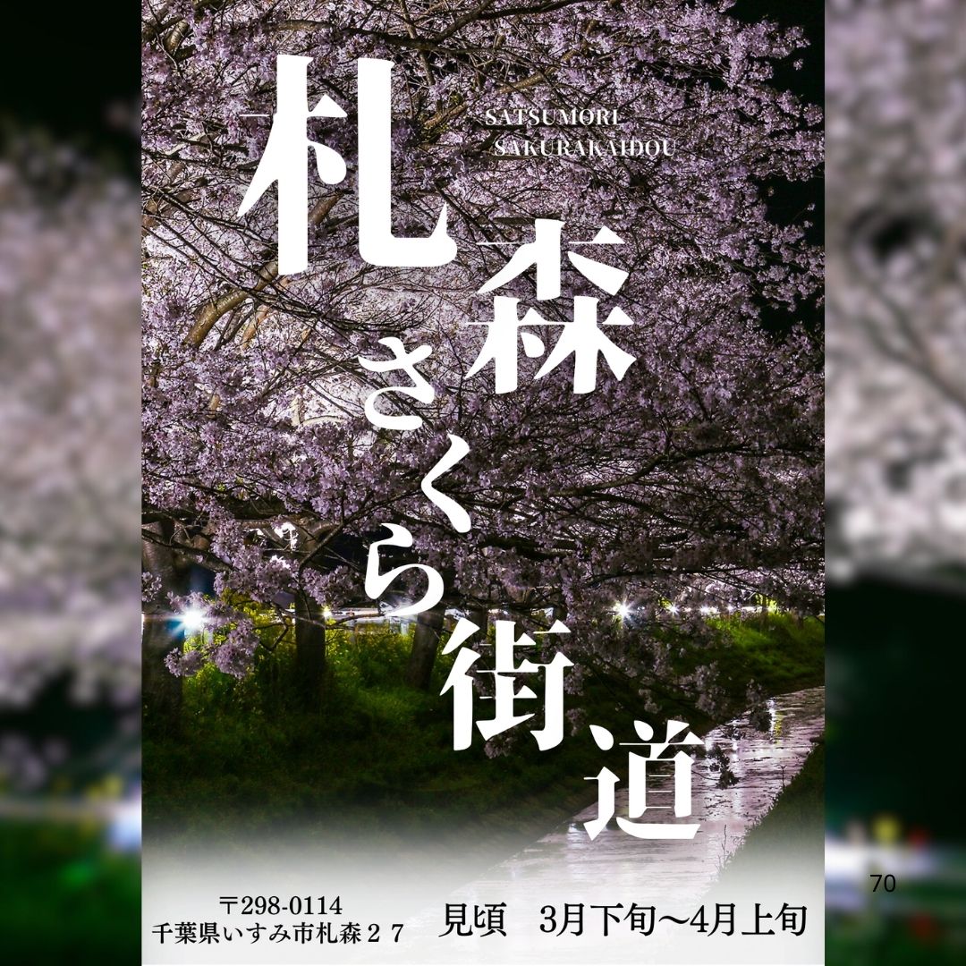 お花見ドライブに最適！札森さくら街道のライトアップ