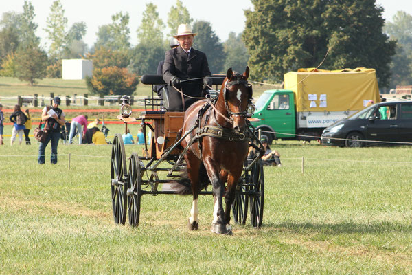 Canto von Zälg am Promo Final 2018 - Foto: Jenny Commons