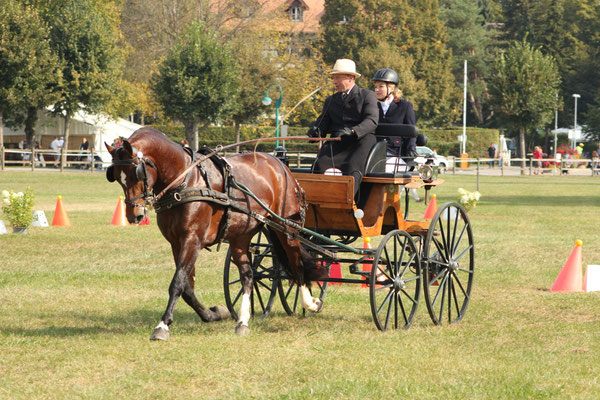 Canto von Zälg am Promo Final 2018 - Foto: Jenny Commons