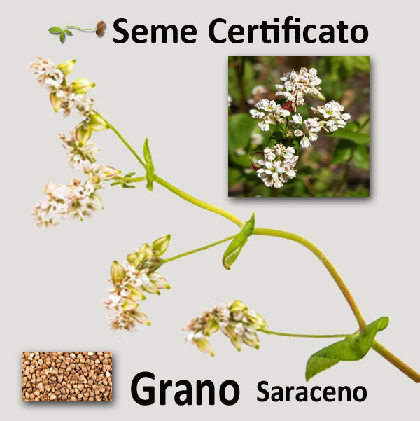 Posteriore Ganasce TRW MCS852 180x40mm tipo 852 KAWASAKI VN 800 VN800A//B 95-99