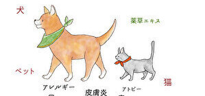 犬・猫・ペットのための[薬草エキス]