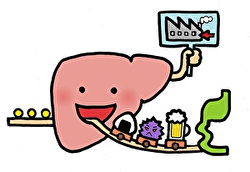 肝臓は化学工場