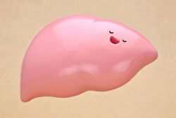 肝臓の数値が悪いと言われたら!!