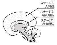 三つの脳
