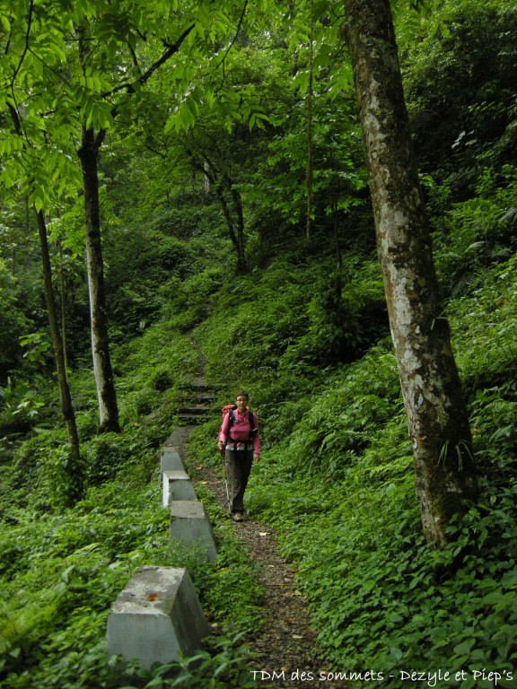 Sur le chemin entre le lac et Yuksom