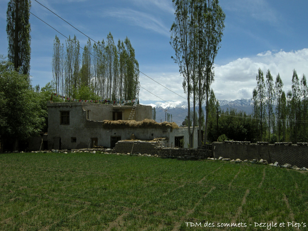 Leh - Ladakh