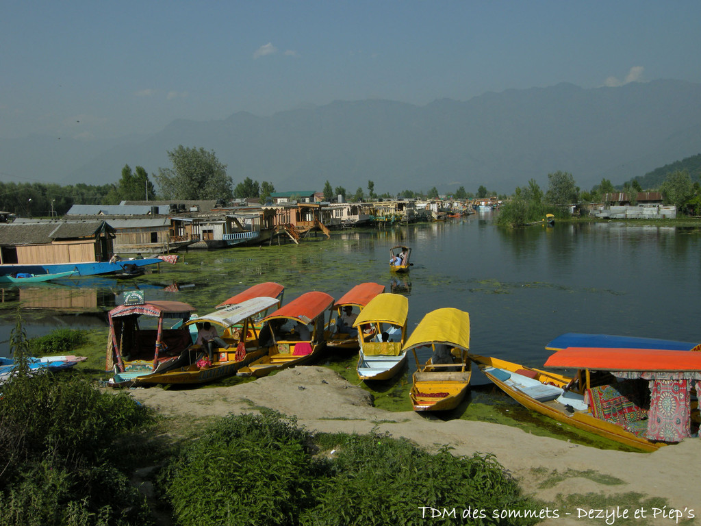 Lac Dal - Srinagar - Cachemire