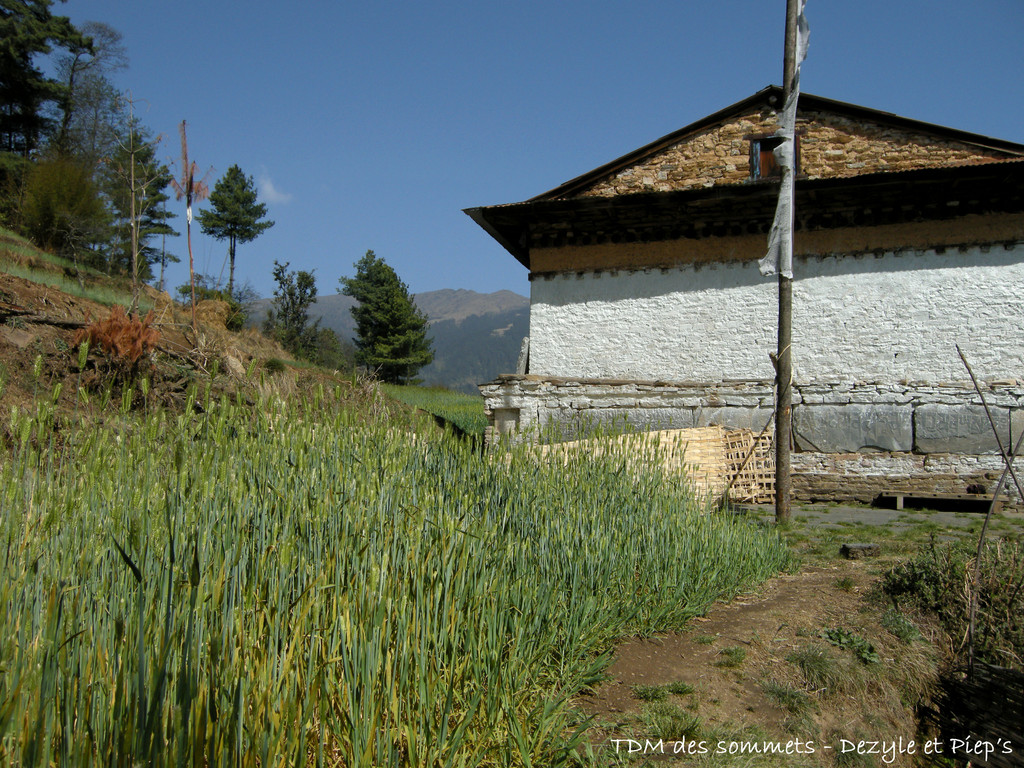 Gompa de Tapting