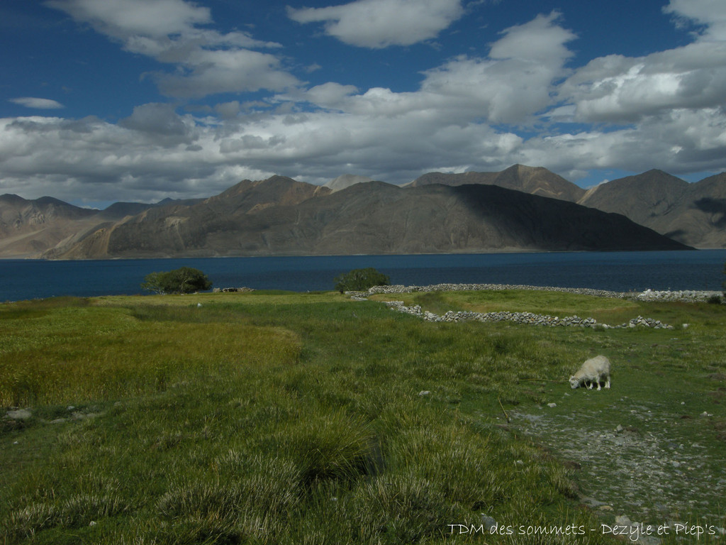 Pangong Tso