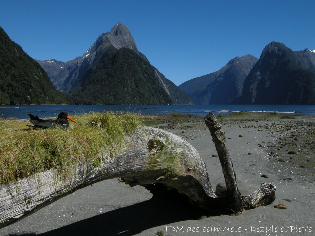 Milford Sound