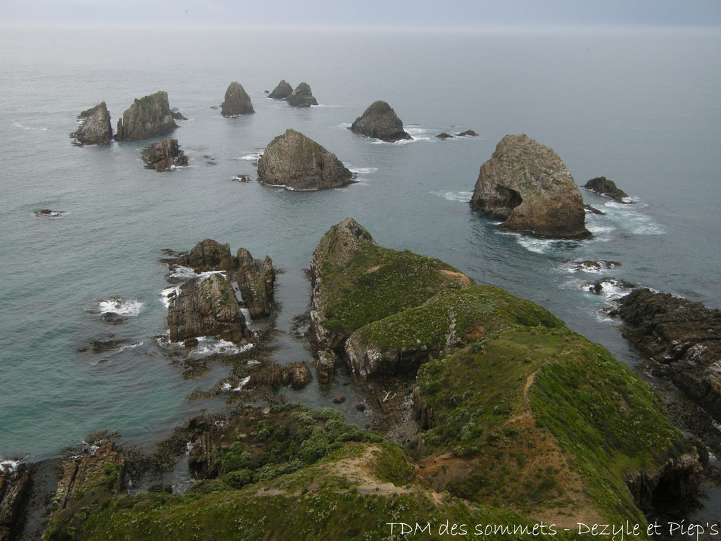 Nugget Point