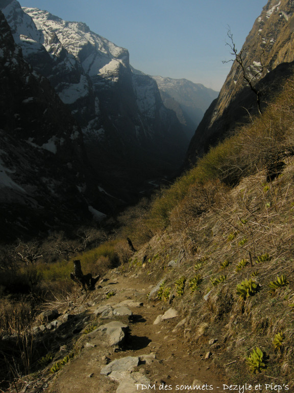 Vallée de la Modi Khola