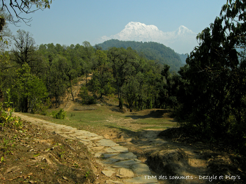 Première vue sur les Annapurnas aorès Damphus