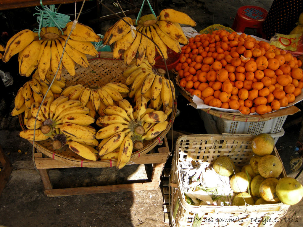 Fruits